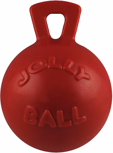 Exercise Dog Toys