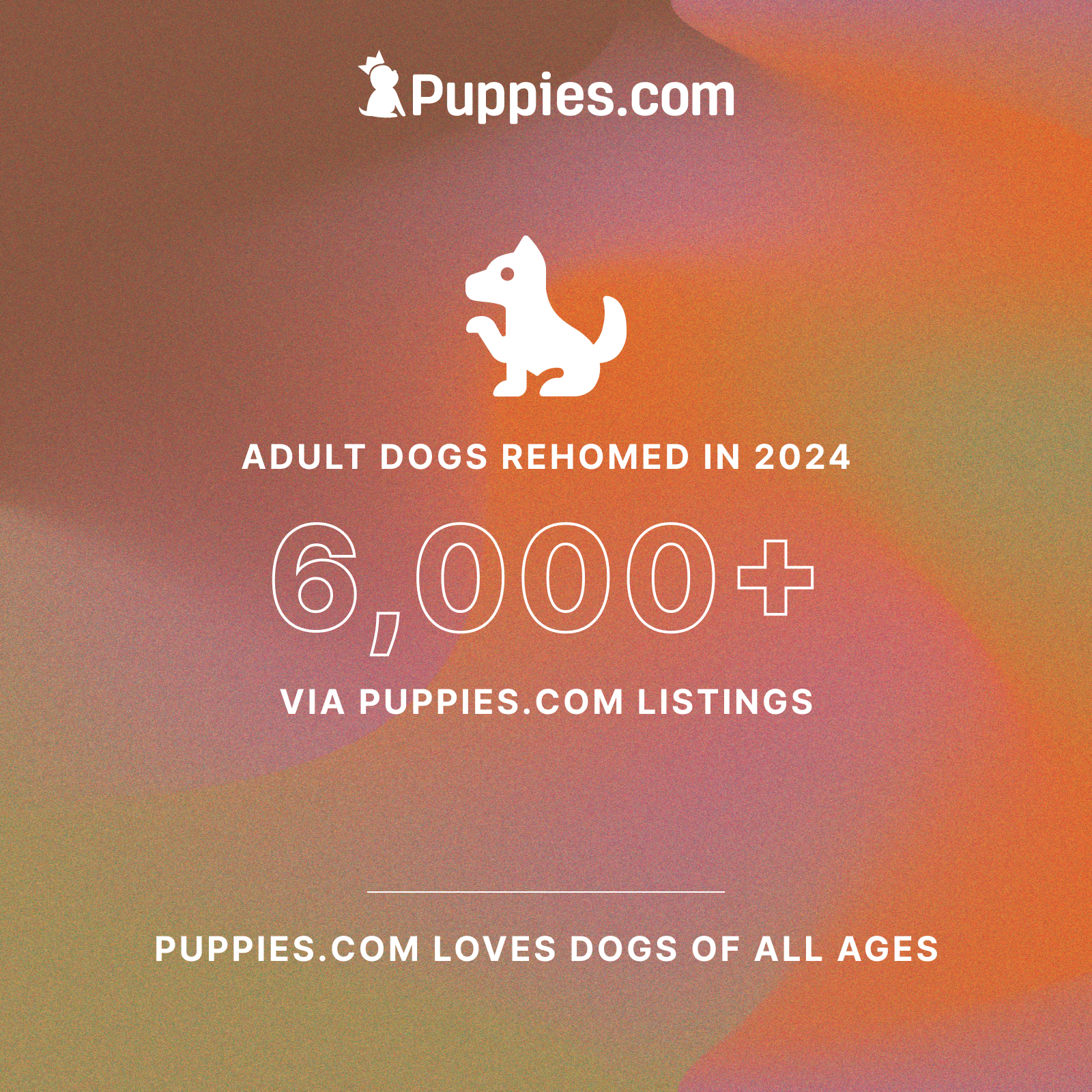 puppies infographic 4