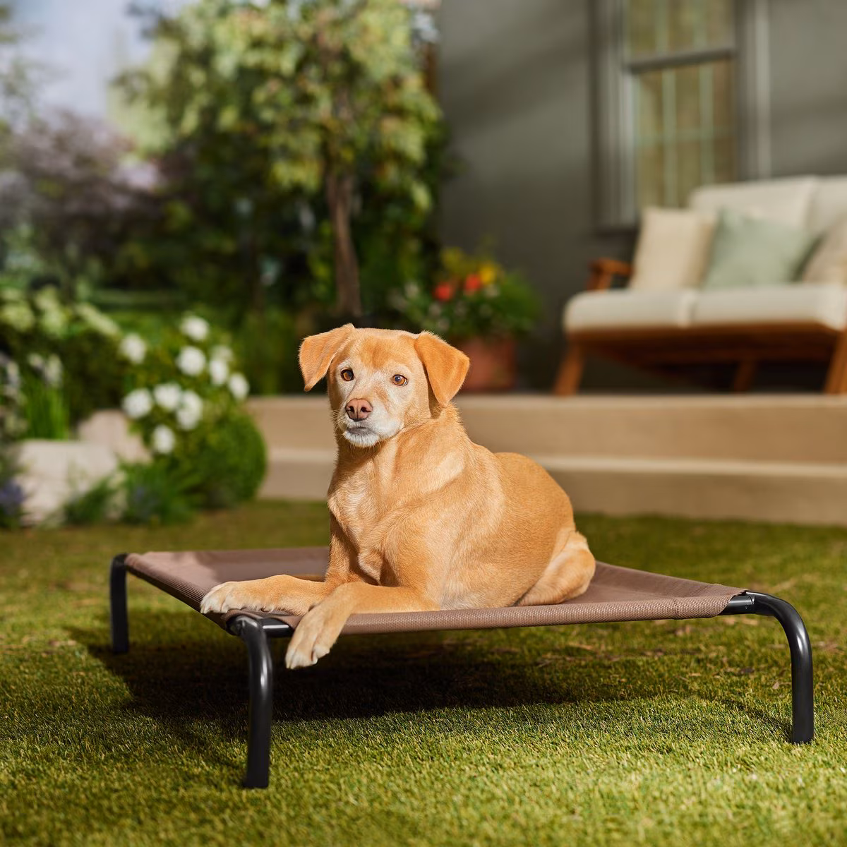 Frisco steel dog bed lounger