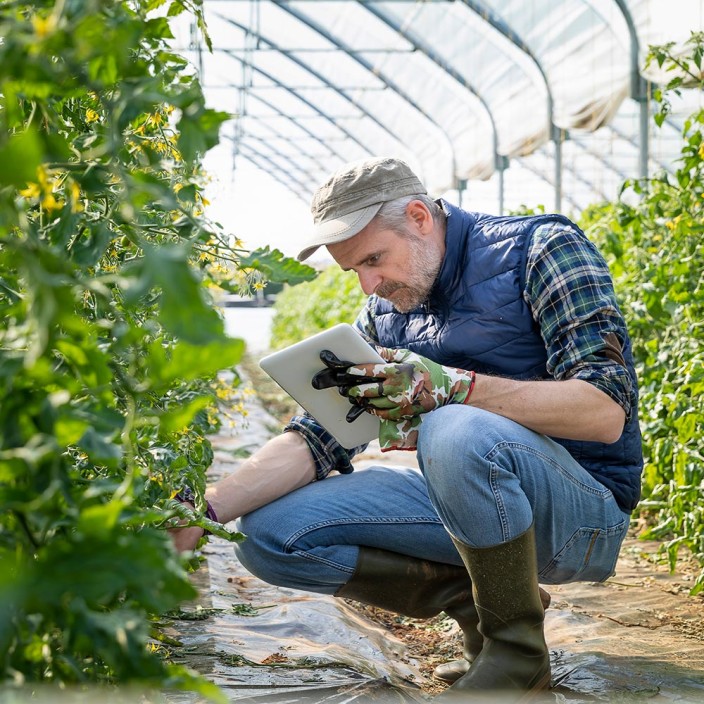 A man in rubber boots is holding a tablet and squats to check plants in a greenhouse. The 5G technology enables virtual tours of networked factories, driving digitalization forward.