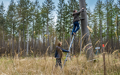 Elektrokontrolldienste In Wald