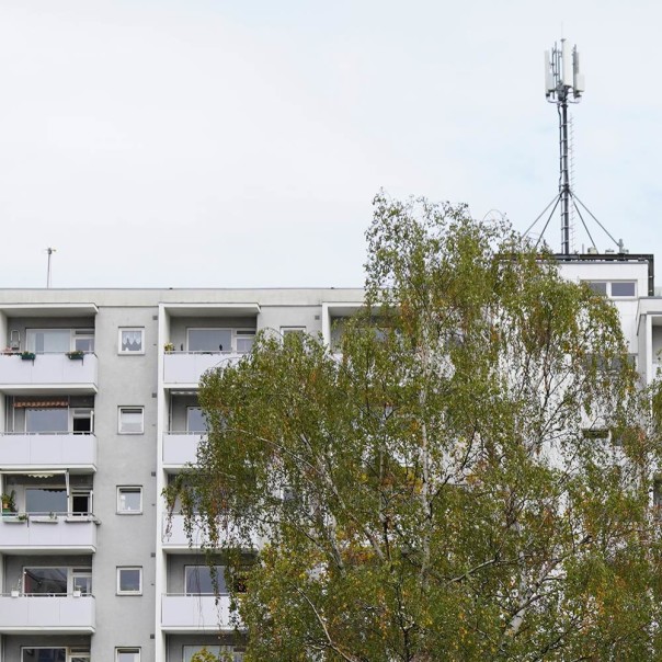 Sendemast auf dem Dach eines Wohnhauses mit Birkenbaum im Vordergrund. Starker Mobilfunk braucht eine starke Infrastruktur. Aber die Netzbetreiber können nicht einfach neue Antennen bauen. 