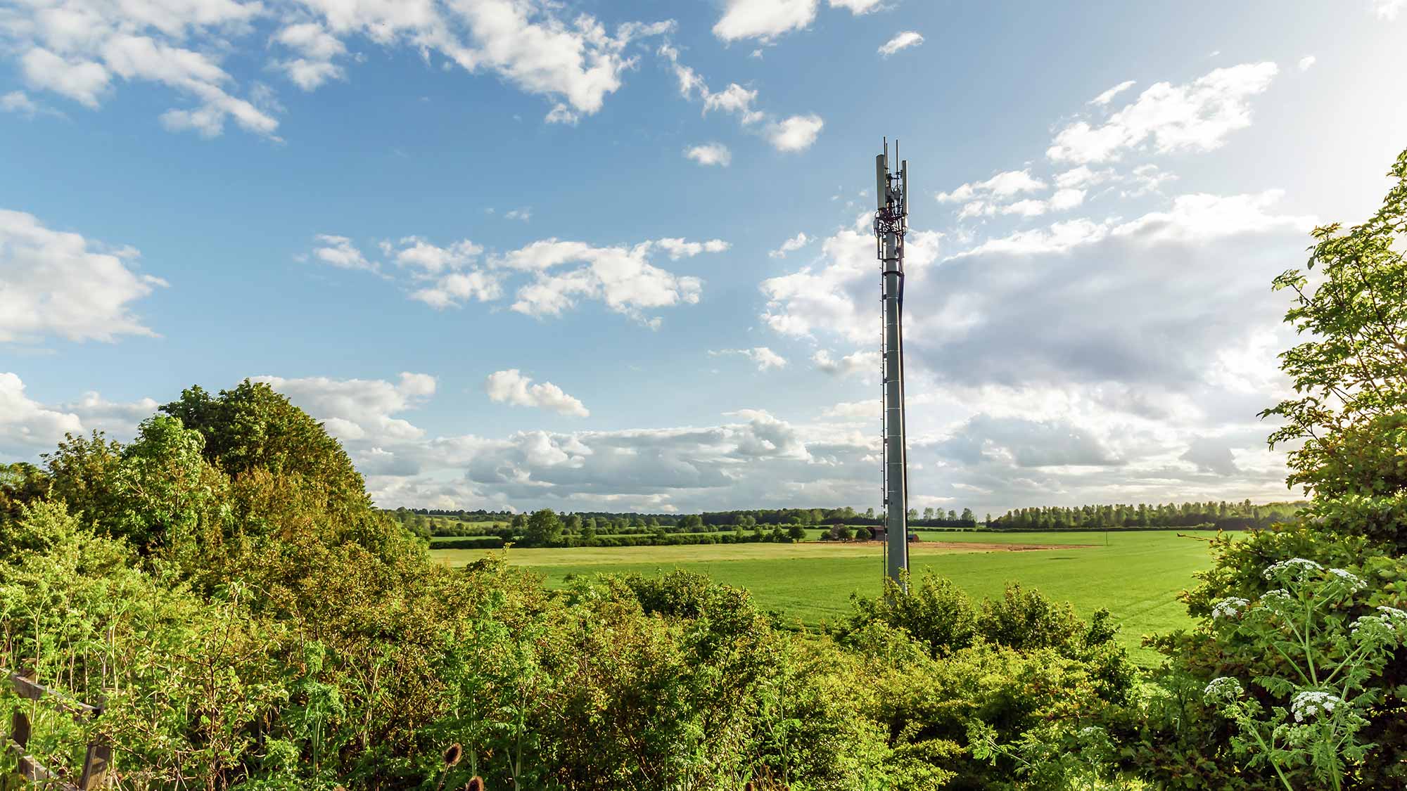 Transmission tower rises into the sky in front of a green landscape with trees. Existing transmission towers are being retrofitted and some new sites are being built. 