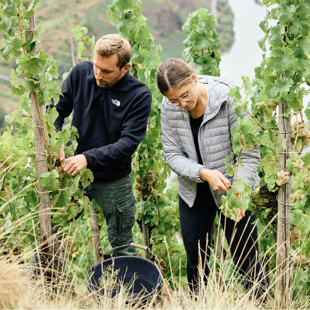 Angelina und Kilian Franzen bewirtschaften den Bremmer Calmont an der Mosel.