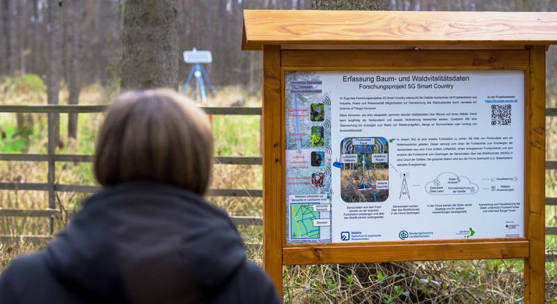 Informationstafeln wie diese im Lechlumer Holz geben den Bürgerinnen und Bürgern einen Überblick über das Projekt und seine Ziele.