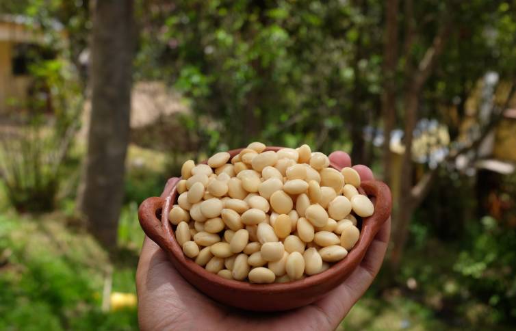 11-SuperalimentosPeruanos--mifarma-blog-body-1