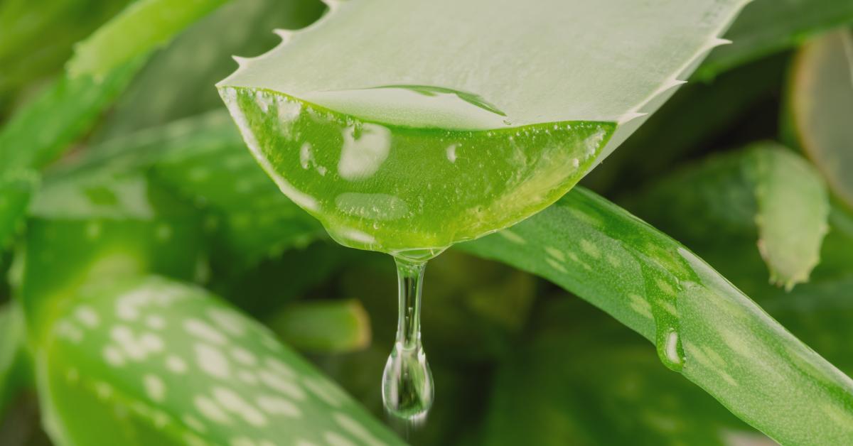Ingredientesnaturales img uno