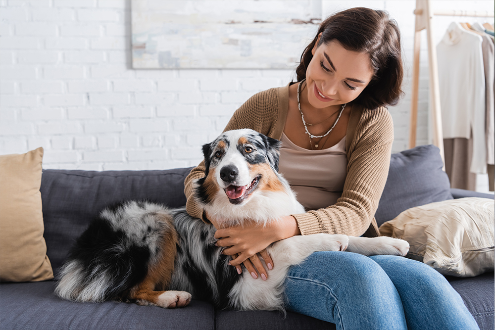 beneficios-mascotas-casa-2