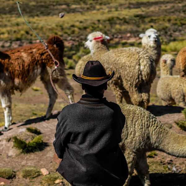 Miradas en el camino 2025