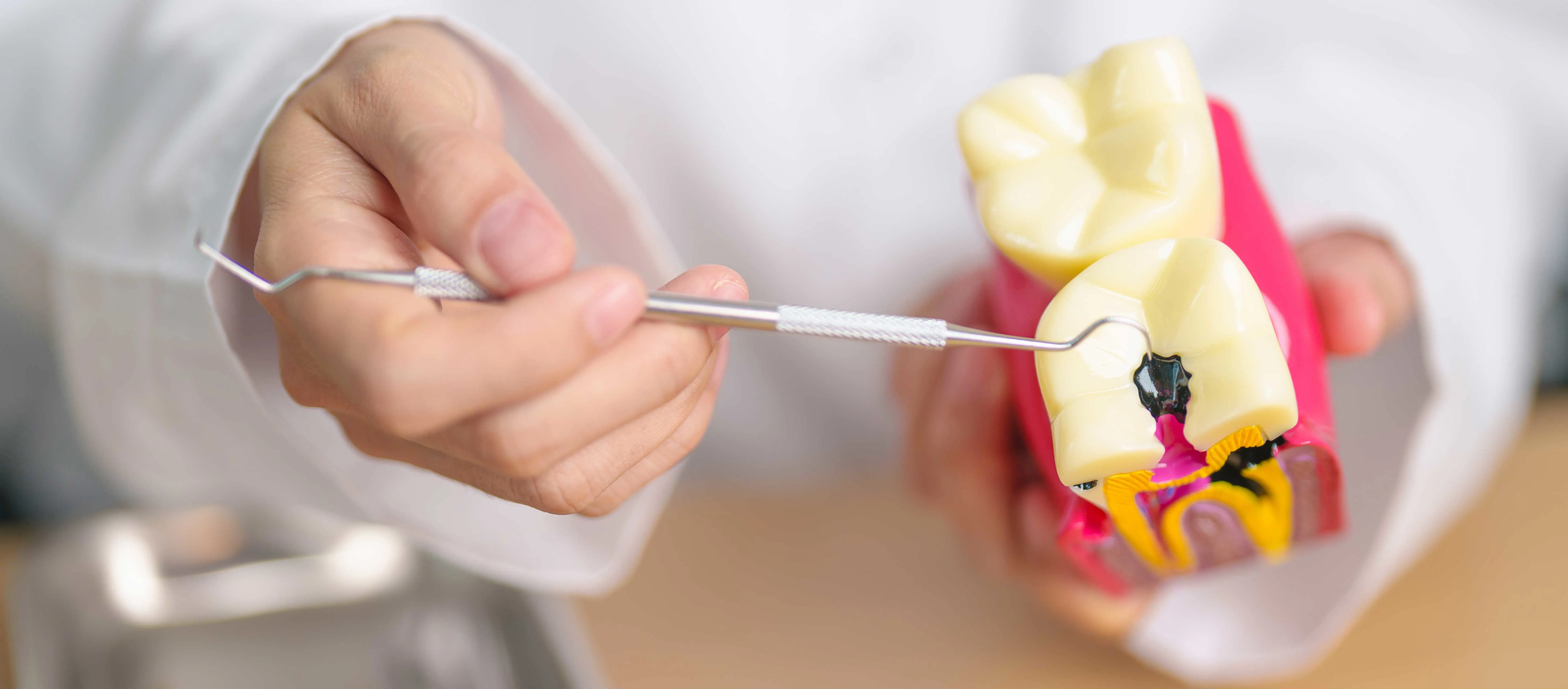 AdobeStock 940516023