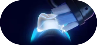Oralb Brush Bristles 