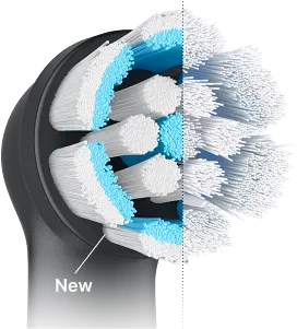 iO9 - Section 11 - Reminder Image - Mobile