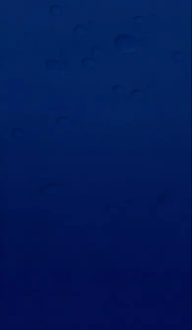 IO3 - Section 13 - Caring for Your Brush is Easy - Mobile Image