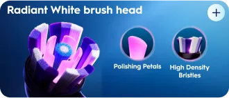 The whitening system