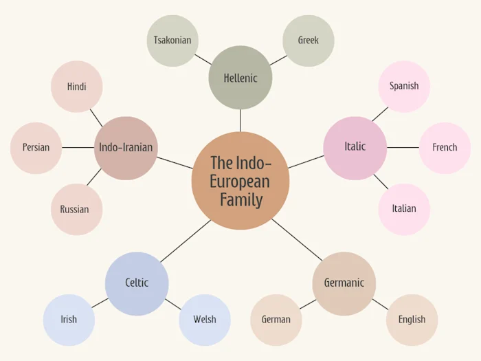 Examples of some modern languages in the Indo-European family along with their branches
