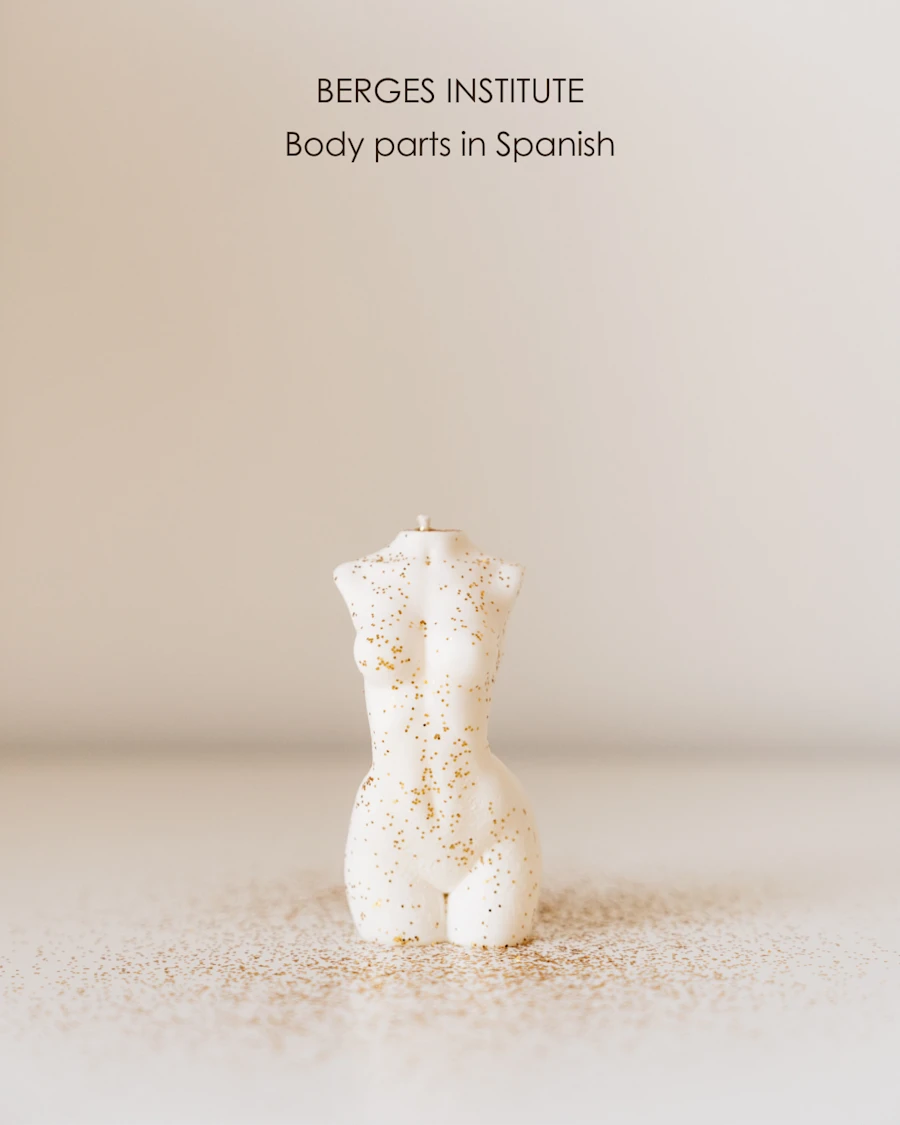 A sculpture of a woman's torso