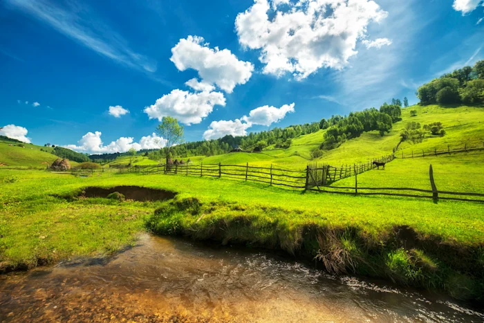Summer in the countryside