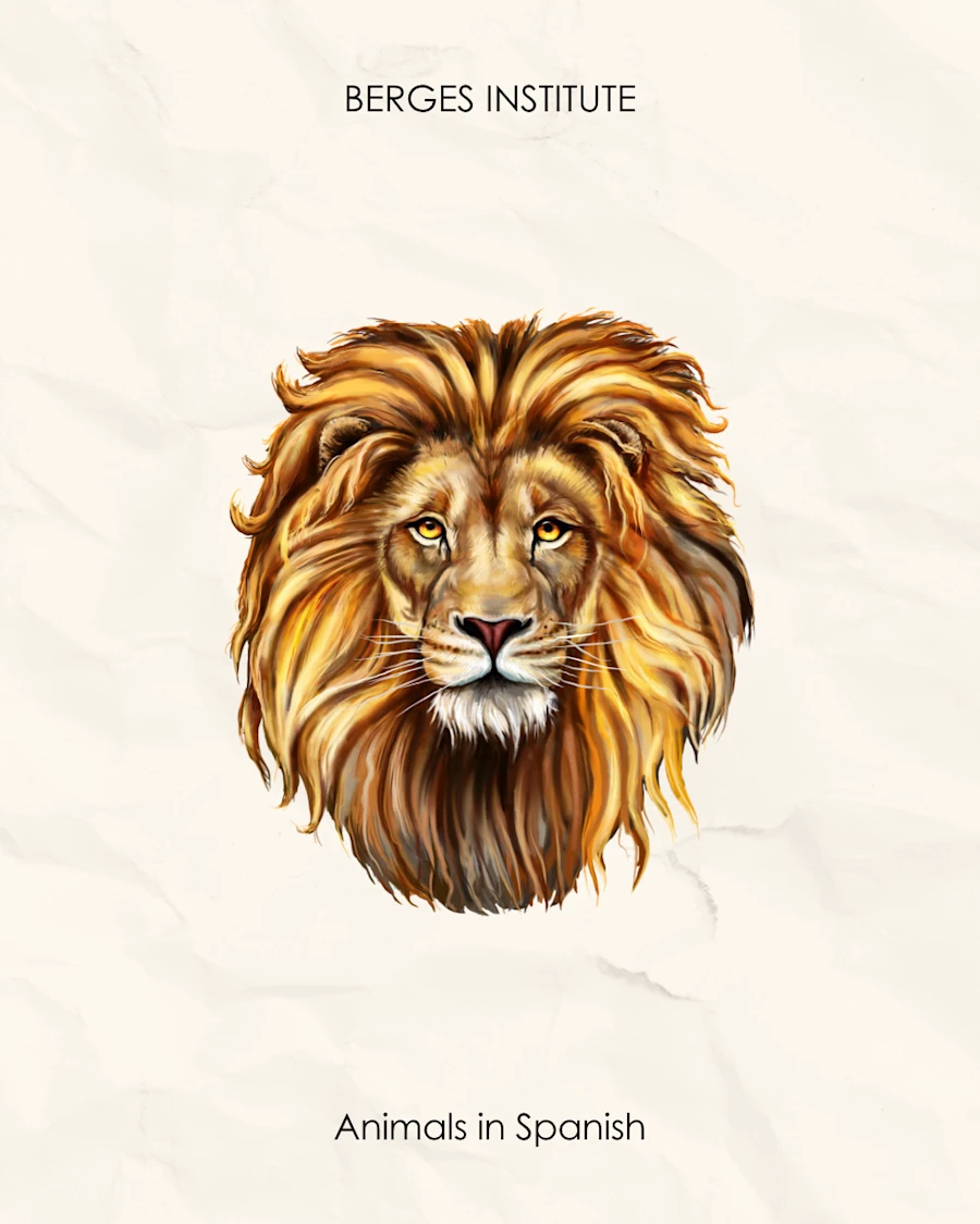 A lion