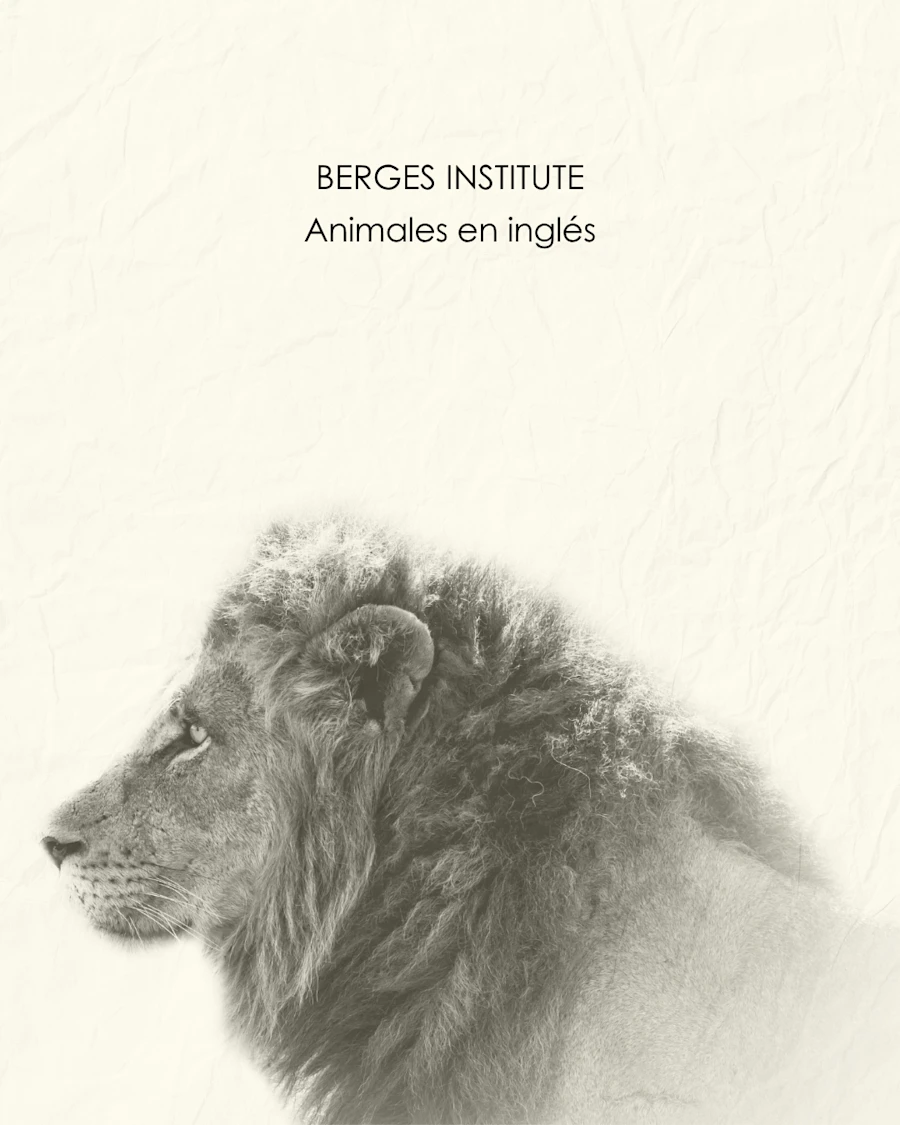 Un león