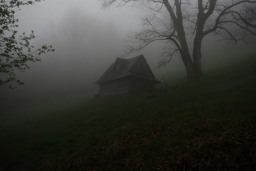 A house in a horror movie setting