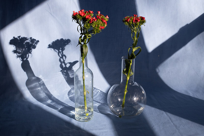 Side by side flower vases with shadows coming from sunlight through a window.