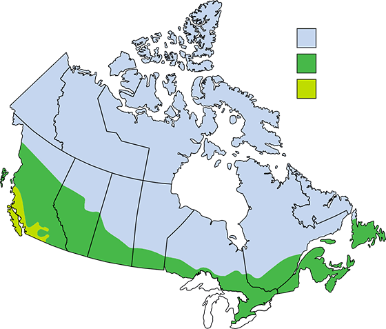 A graphic showing the Enery Star Zones across Canada.