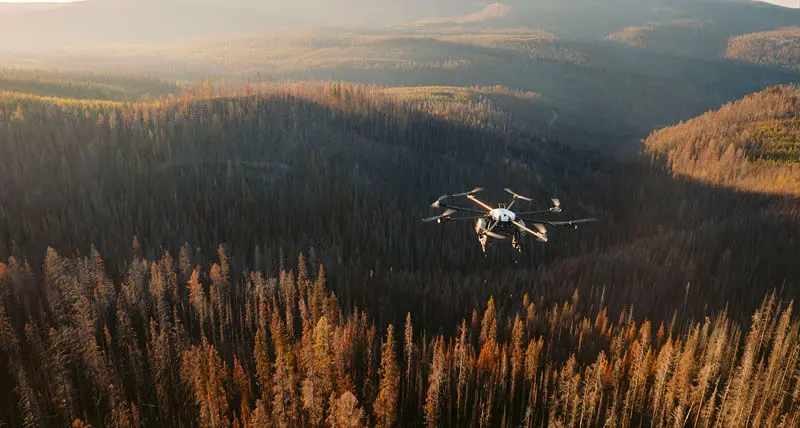 A Flash Forest drone hovers over a forest to plant seeds.