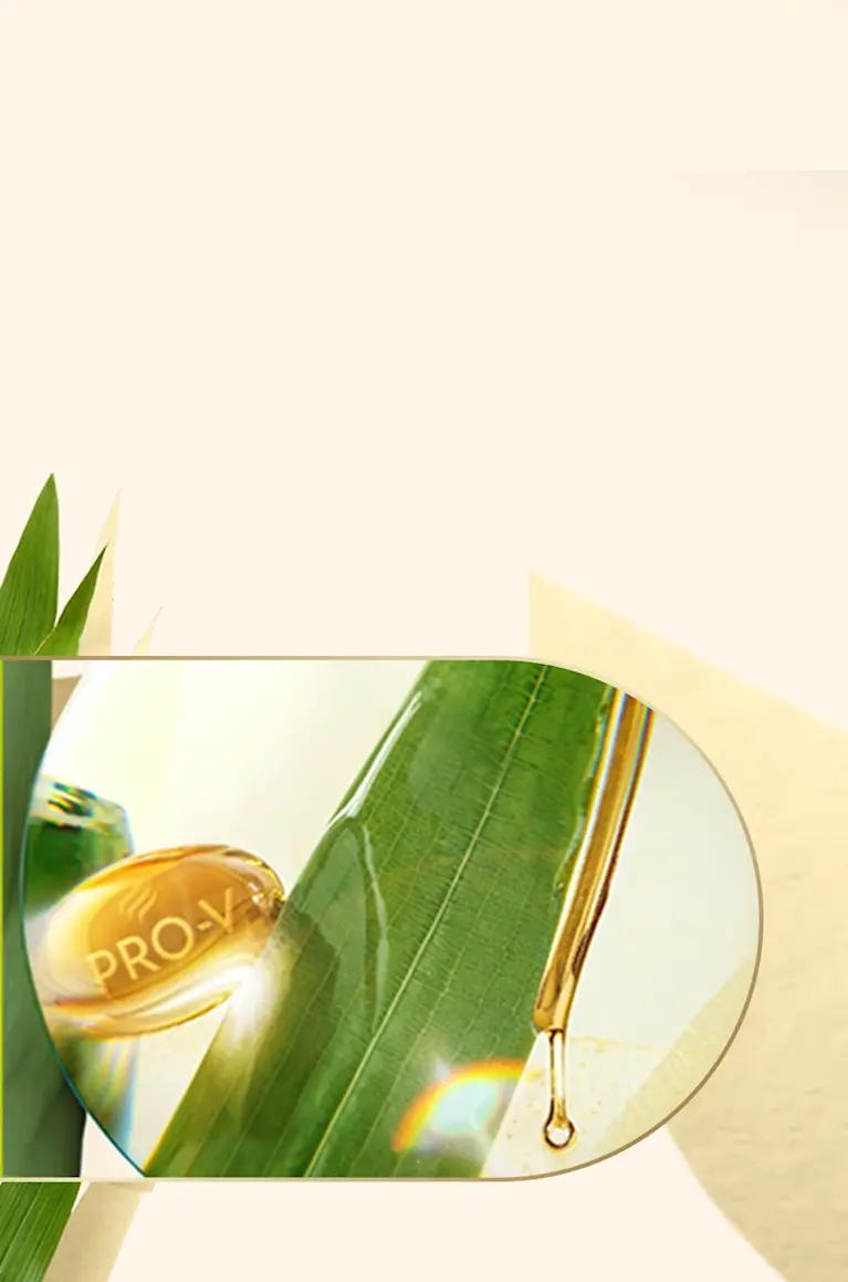 Cápsula de Vitamina Pro-V derramando suas propriedades em uma folha de árvore de bambu