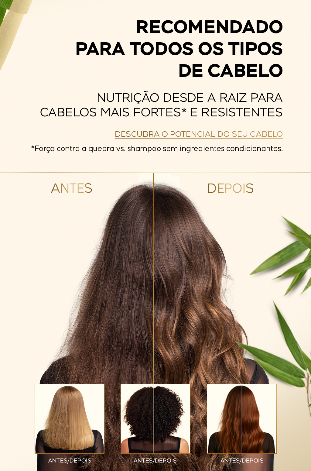 Gráfico comparativo do antes e depois de usar a coleção bambu nutre e cresce