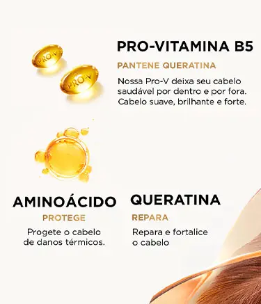 Ingredientes do Pantene Thermal Protector