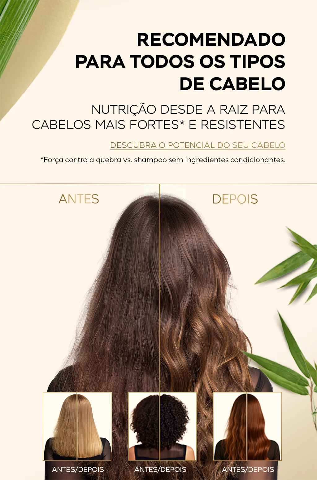 Gráfico comparativo do antes e depois de usar a coleção bambu nutre e cresce