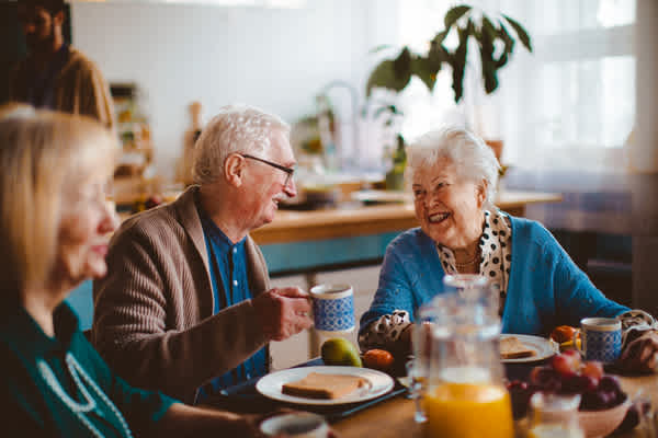 Senior + Assisted Living Budget Template