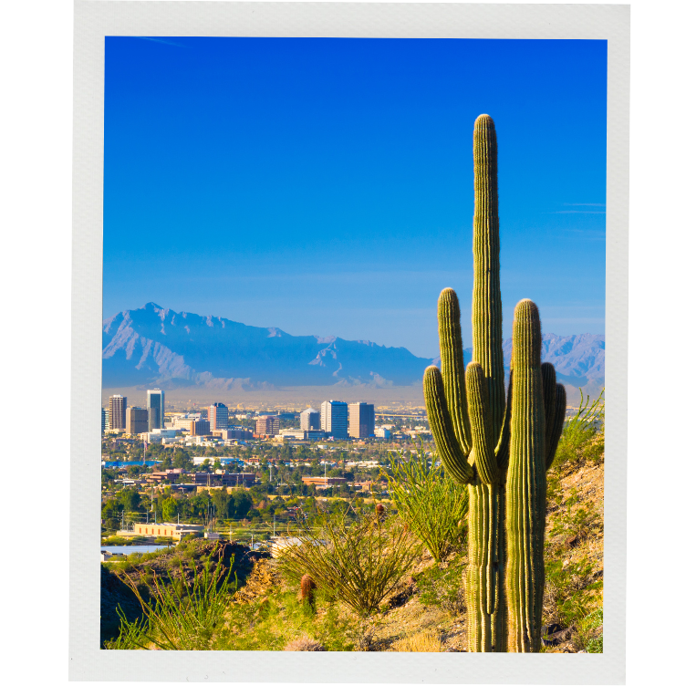 Phoenix
