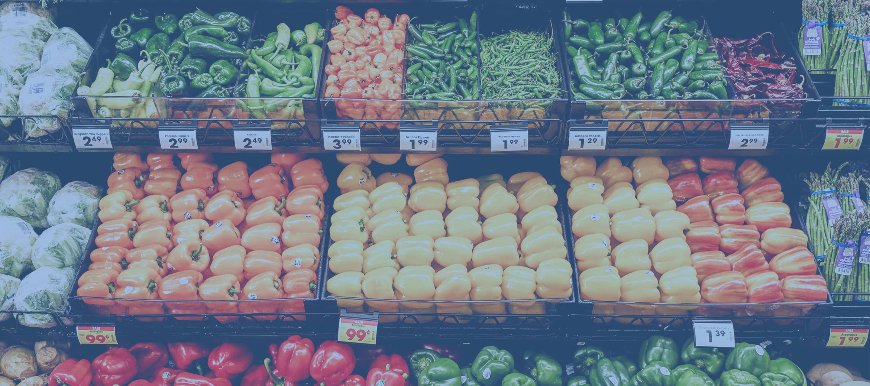 About Us Header 2880 X 1440 NEW Cropped