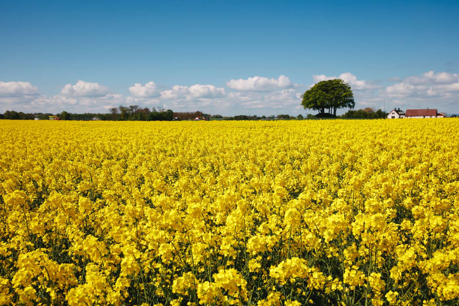 StayKvick.Models.ImageModel