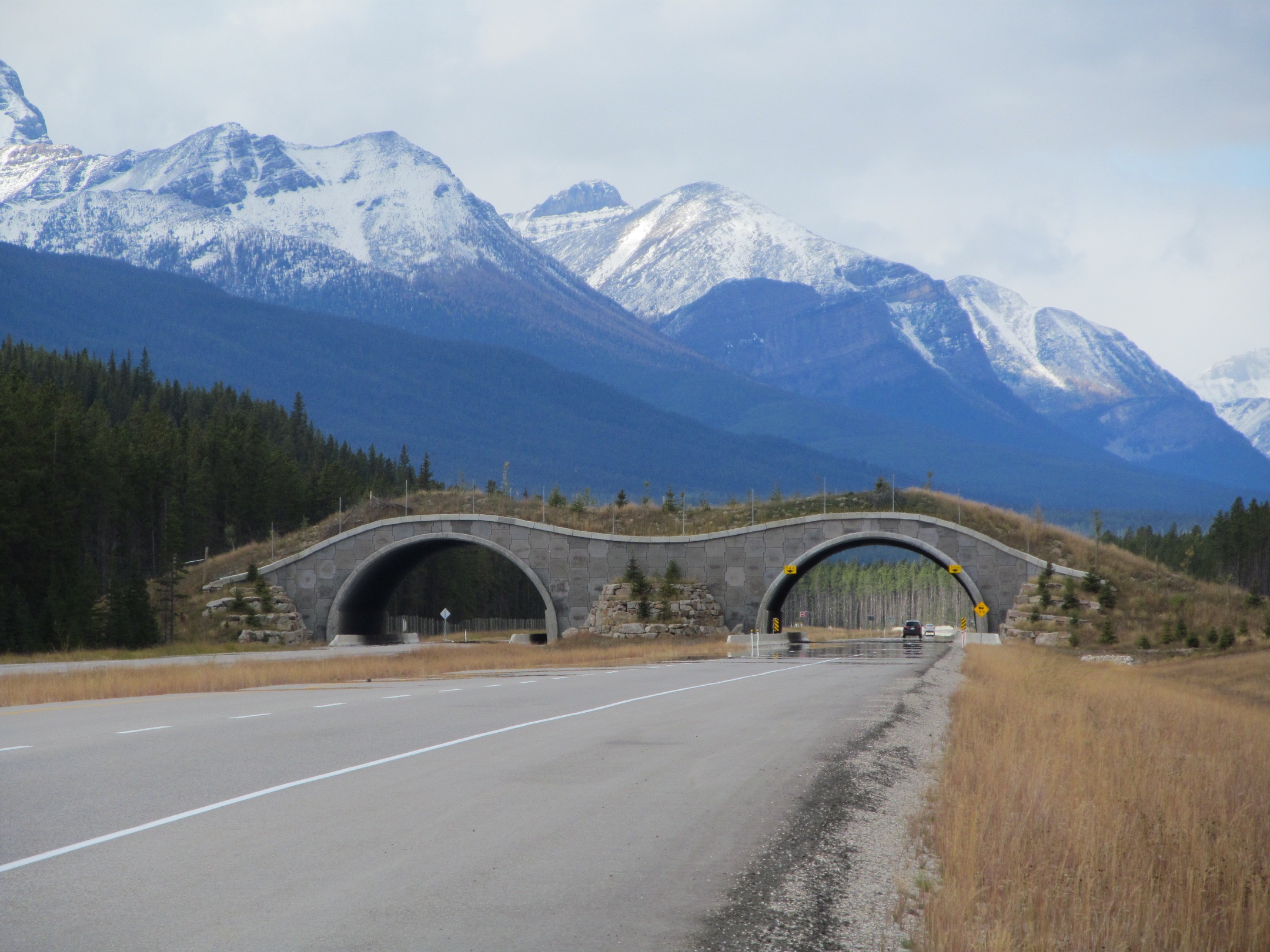 IMG 1799Overpass TransCanadaHwy1 NearBanffOct2014 GHesse