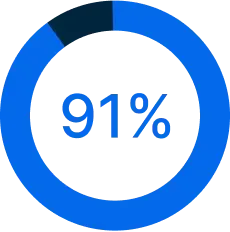 A blue circular progress indicator showing 91% completion with the percentage displayed in the center.