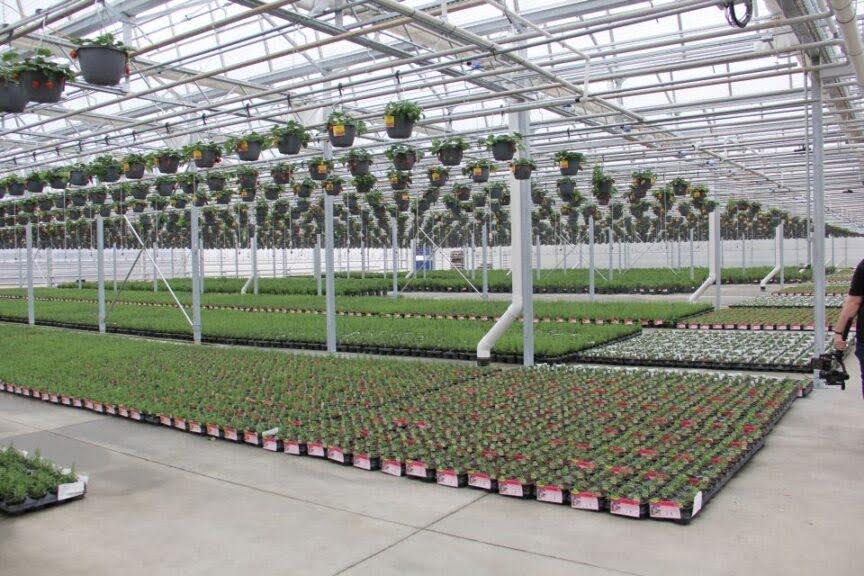 Bonnie Plants Environmental Monitors