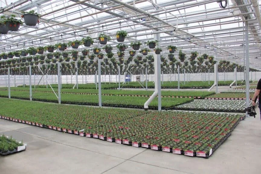 Bonnie Plants Environmental Monitors