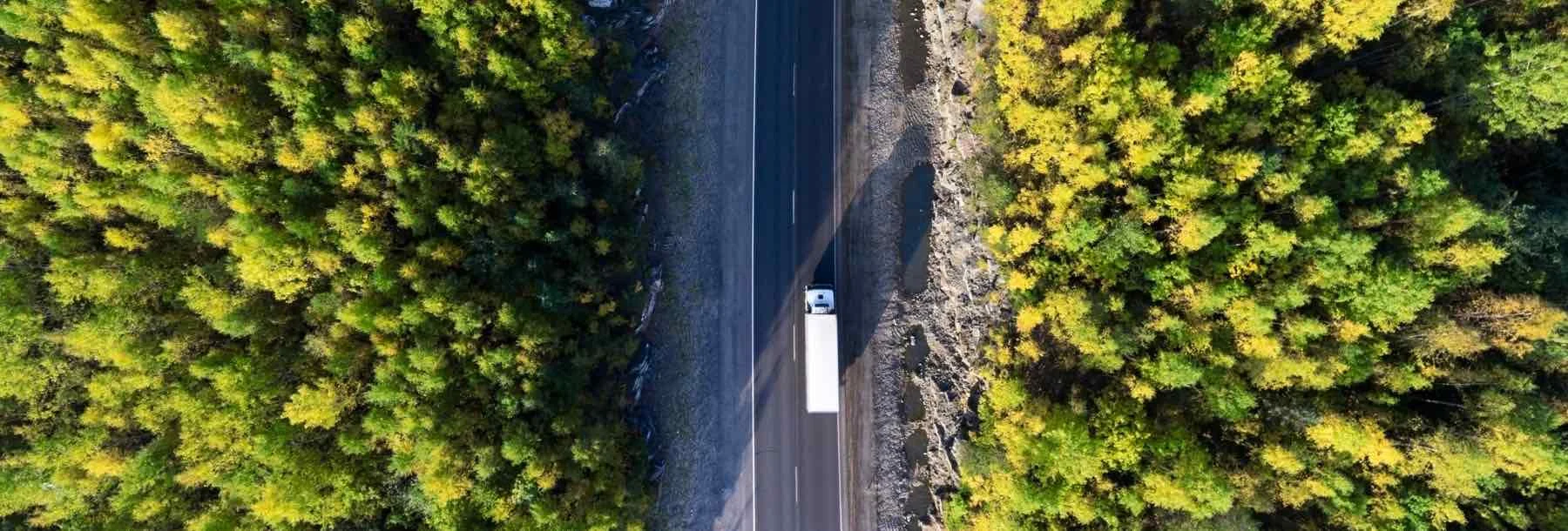 truck on freeway in the forest
