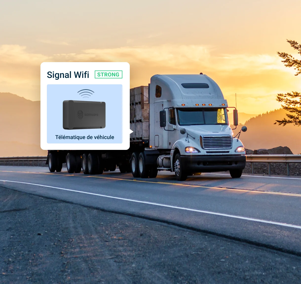 Aperçus en temps réel