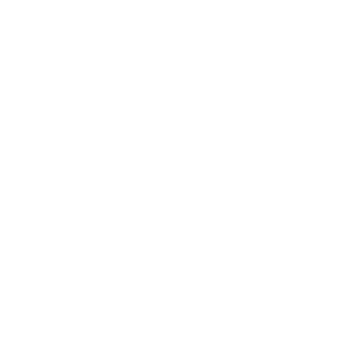 White Samsara Logo