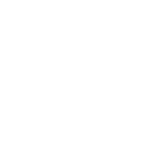 White Samsara Logo