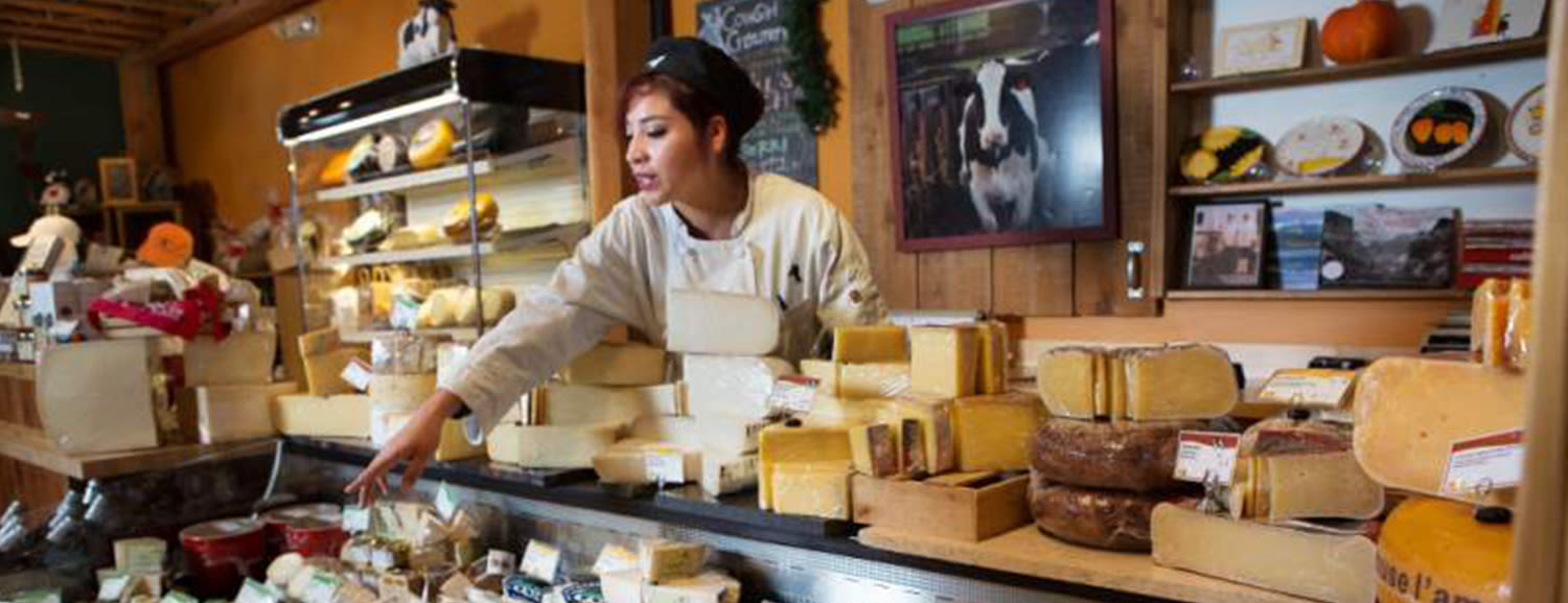 A cheese shop worker in an apron arranges a large variety of cheeses on a counter inside a rustic store.