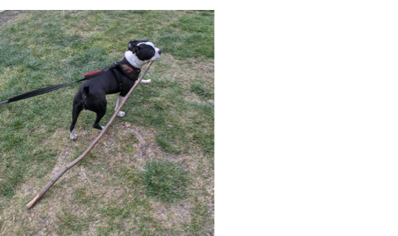 Employee Spotlight: Zoe Demertzis — Image #4