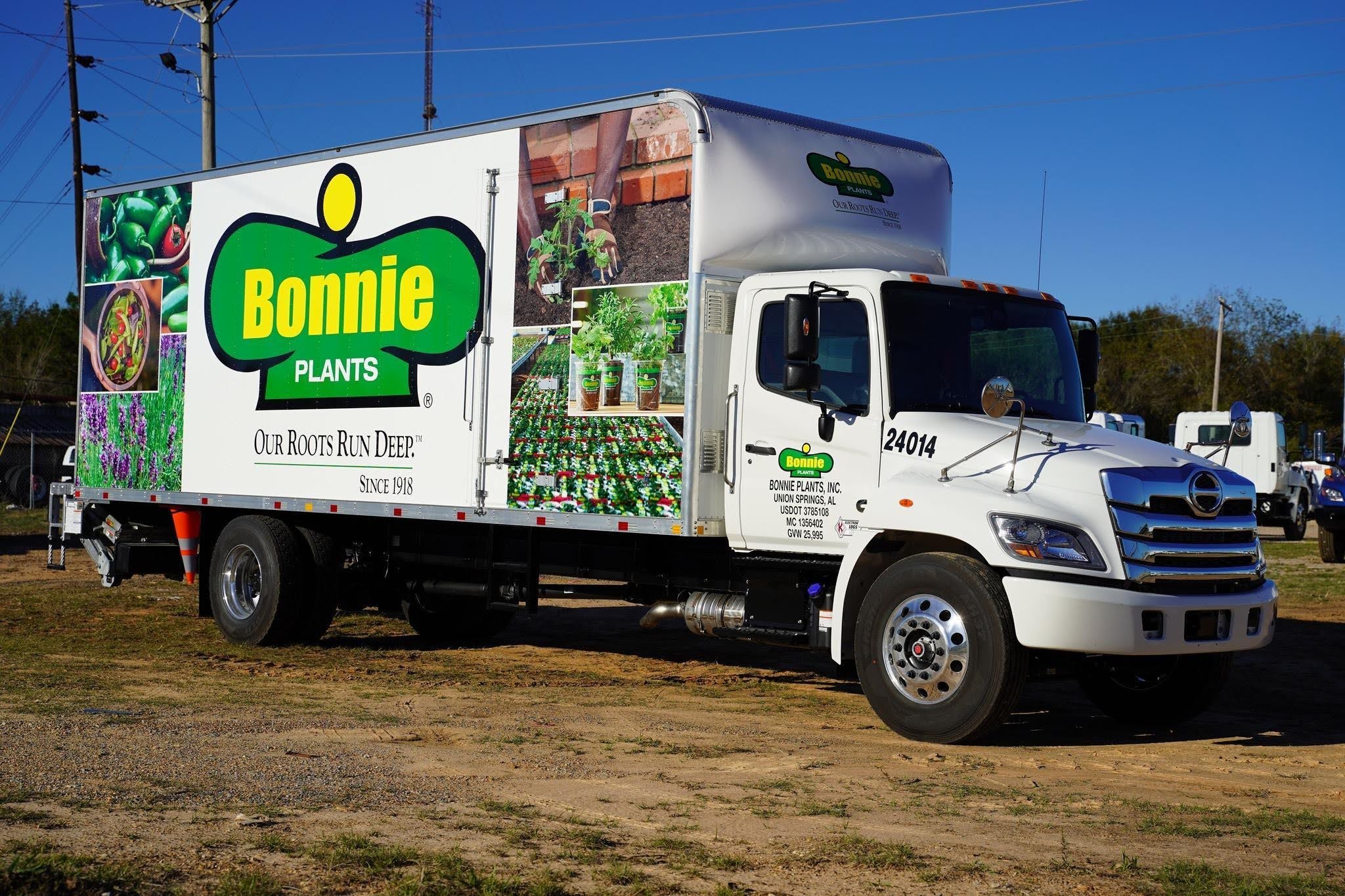 Bonnie Plants Maintenance