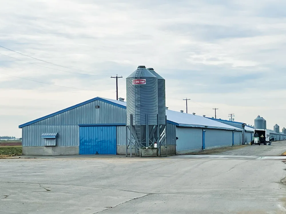Bâtiment de stockage abritant des poulets avec deux silos et une porte bleue