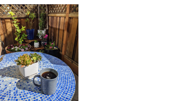 Employee Spotlight: Zoe Demertzis Image — #1