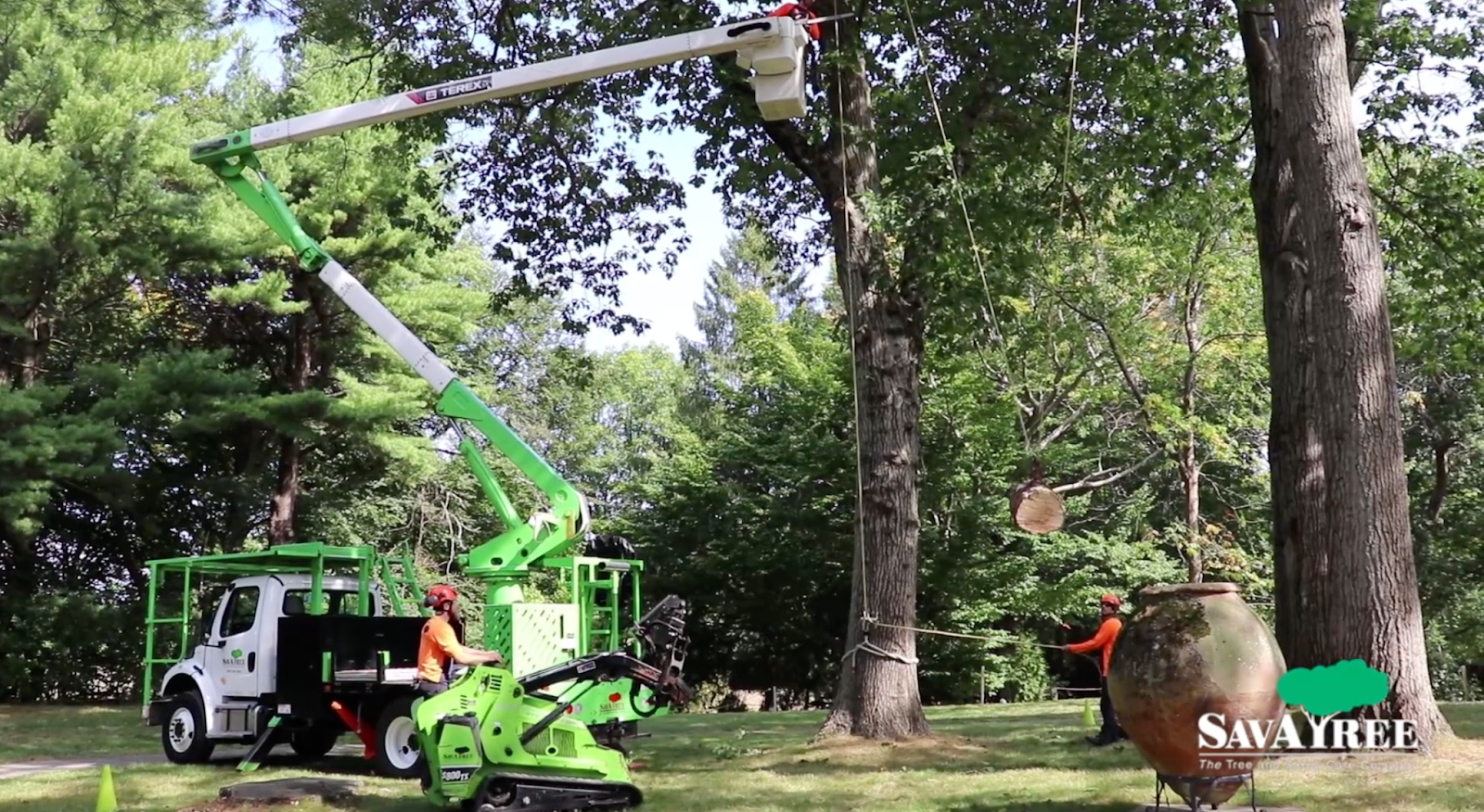 SavATree Platform