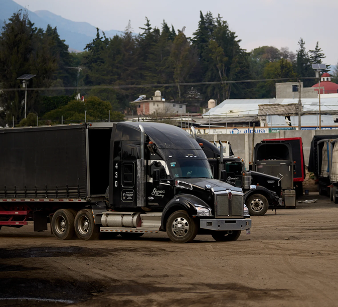 Camiones de carga negros estacionados en un patio con montañas y árboles al fondo en un día nublado.
